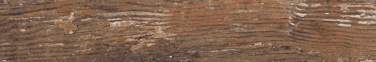 Kiwi Redroot Mat 20x120 Alpas Euro
