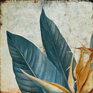 TR3333 Tropic 33х33 Serapool