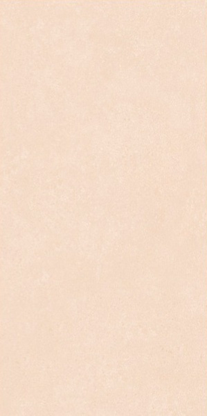 Selina Crema matt 60x120 Leopard фото 6