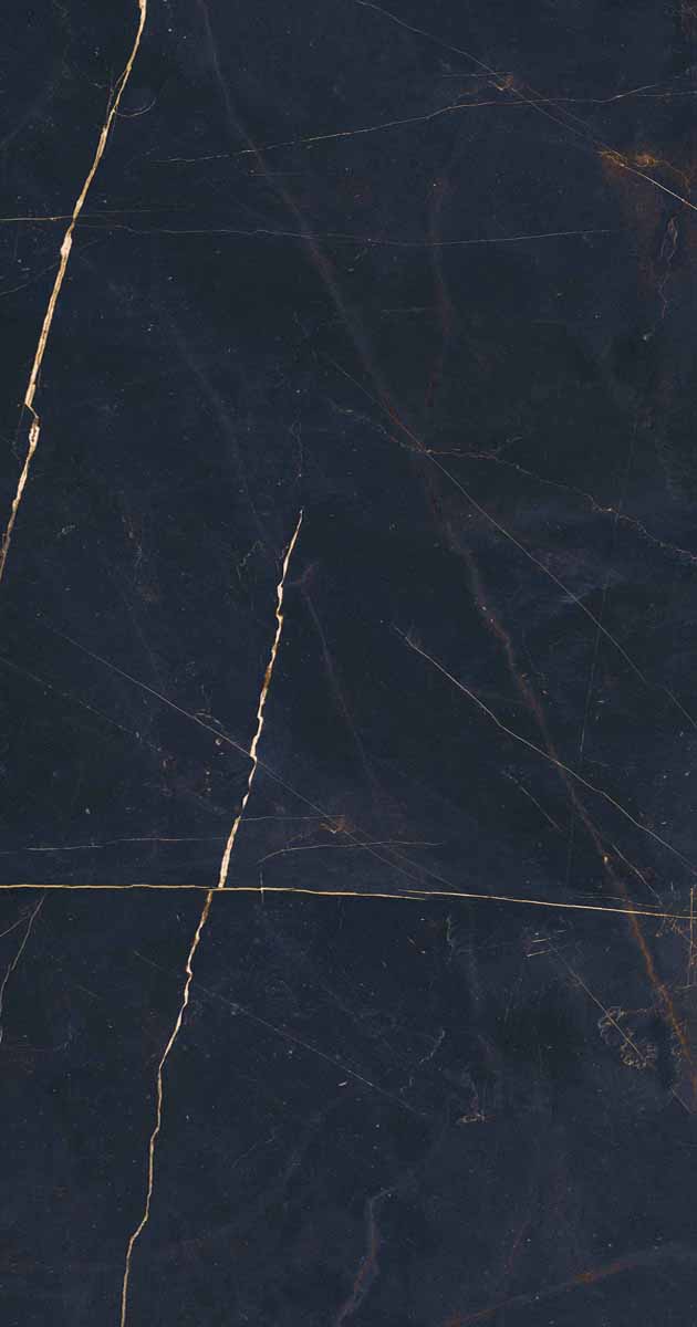 PF60011003 Precious Black Lux Ret 60x120 ABK