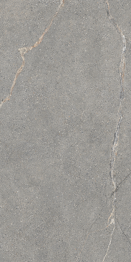 LGXAL45 Anthology 04 Gray Natural RT 9.5mm 60x120 Lea Ceramiche