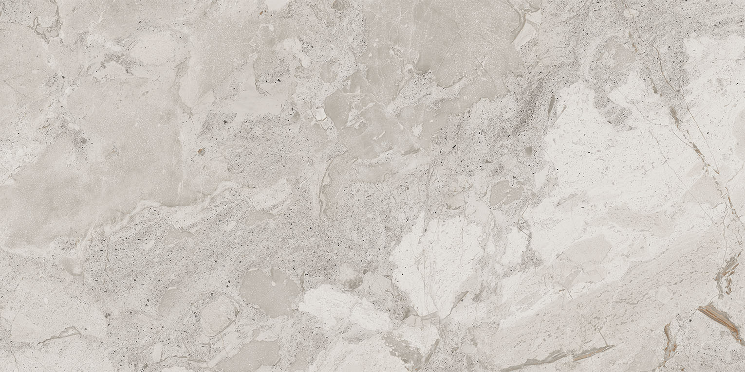 93453 Karnis Silver Matt 60x120 Cerdomus