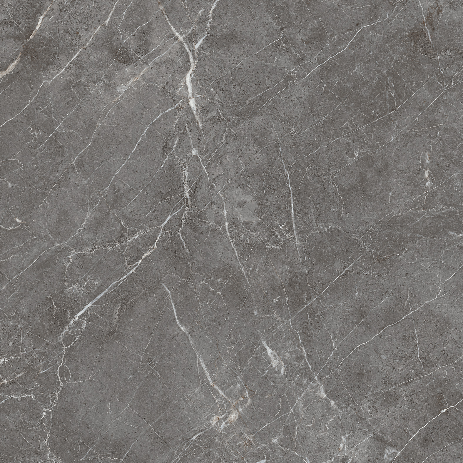 CR6001-A Esperia Grigio Carving 60x60 Arcadia Ceramica фото 5