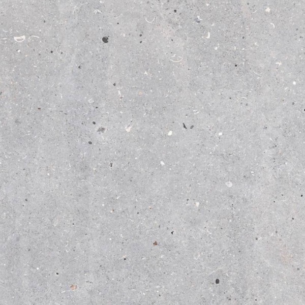 Messel SILVER 66x66 Codicer