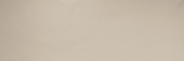 Bone Ret. 30x90 Porcelanite Dos