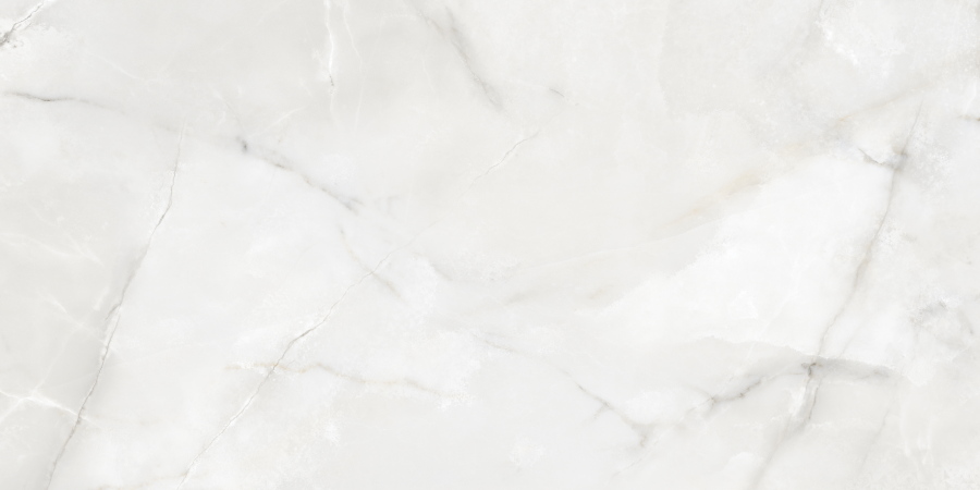 N12022 Onyx Moon Polished 60x120 Neodom