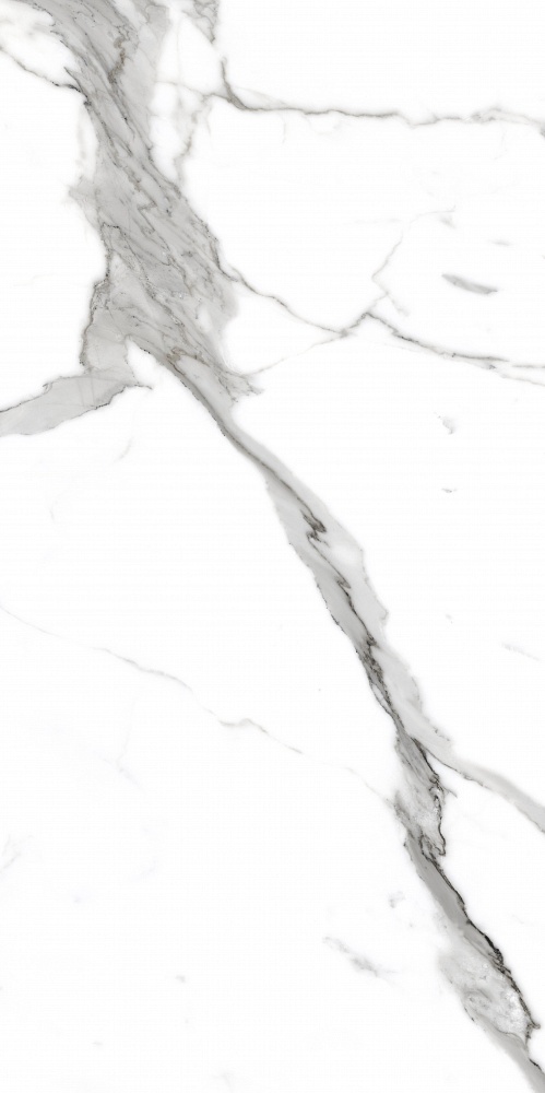 PR207 Salvatore Polished 600x1200 PrimaVera