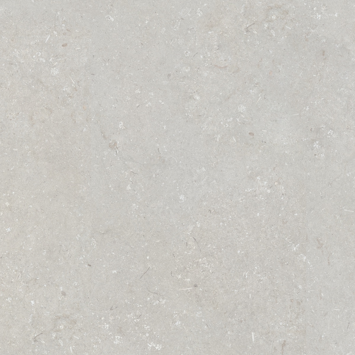 005847 Shellstone Bianco 120x120 Dado Ceramica