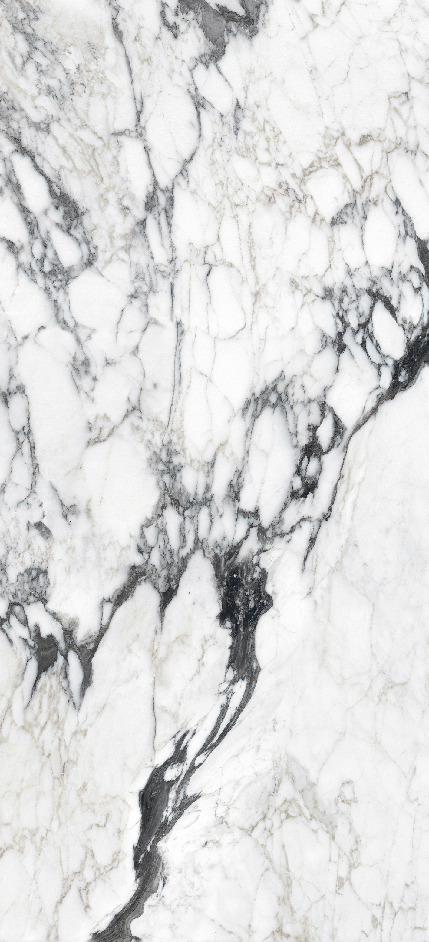 765697 Bijoux Calacatta Altissimo Glossy 6mm 120x280 Rex Ceramiche фото 2