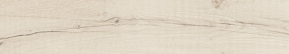 189003 Quercus Betulla 22x120 Dune