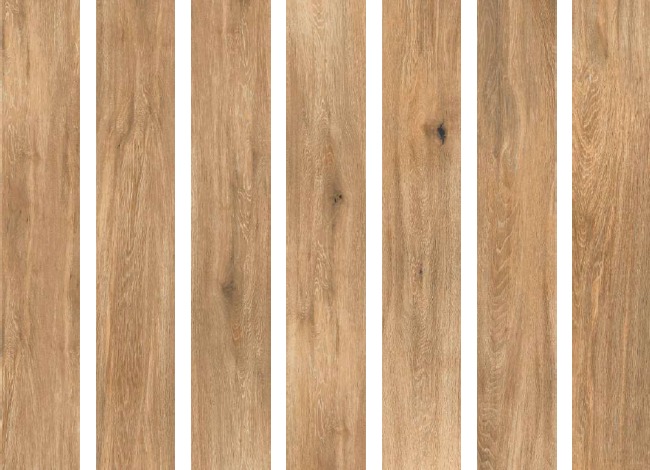 Jasmin Wood Brown Matt 20х120 SotGres