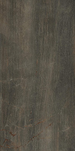 1066570 Fossil Bruno Ret 60x120  Serenissima Cir