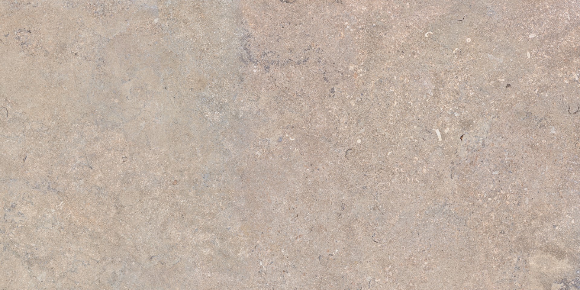 Salerno Bronzo Rect 60x120 Baldocer фото 6
