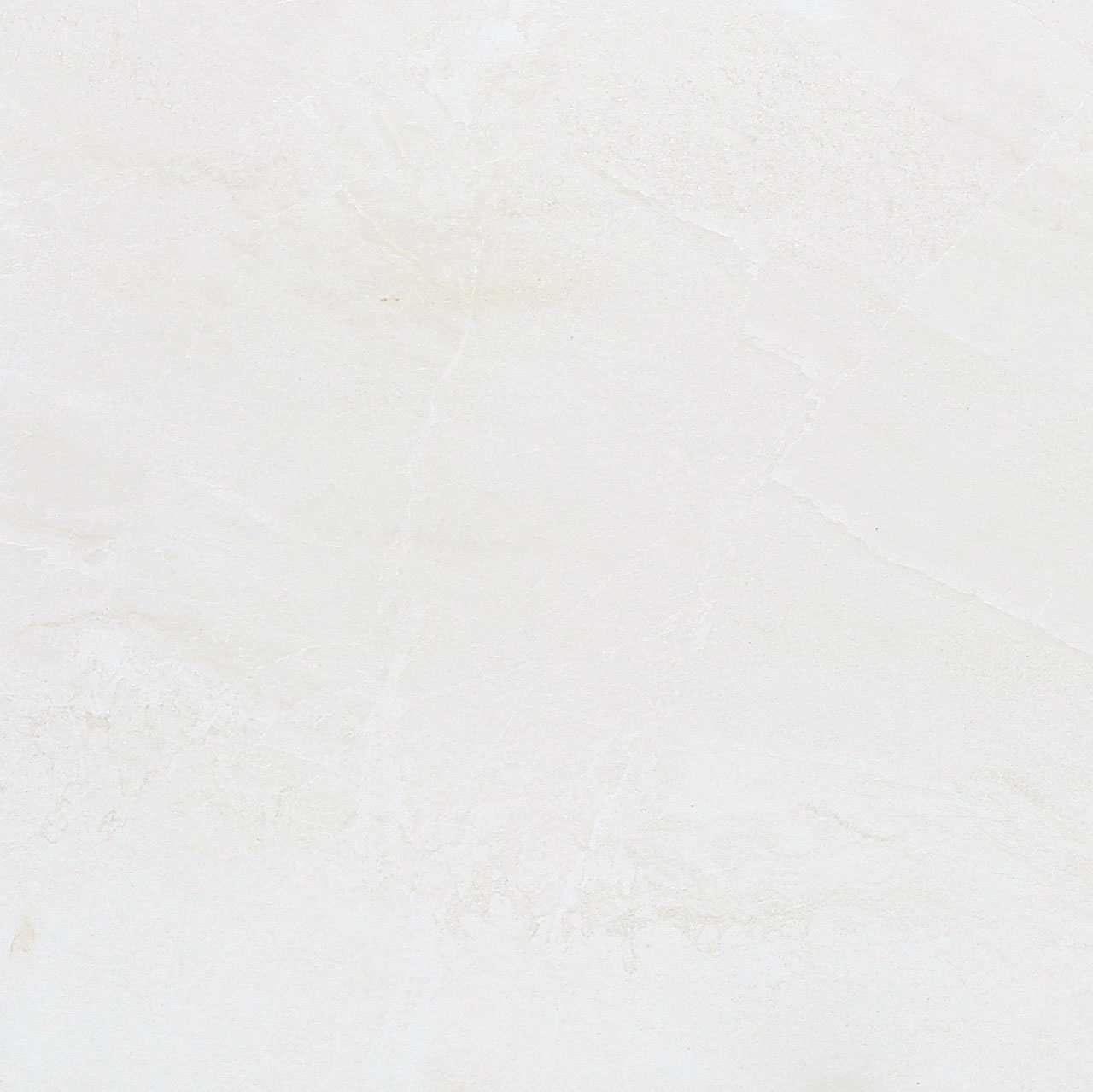 ZS6NTT9701M Zeus 60x60 NT Ceramic