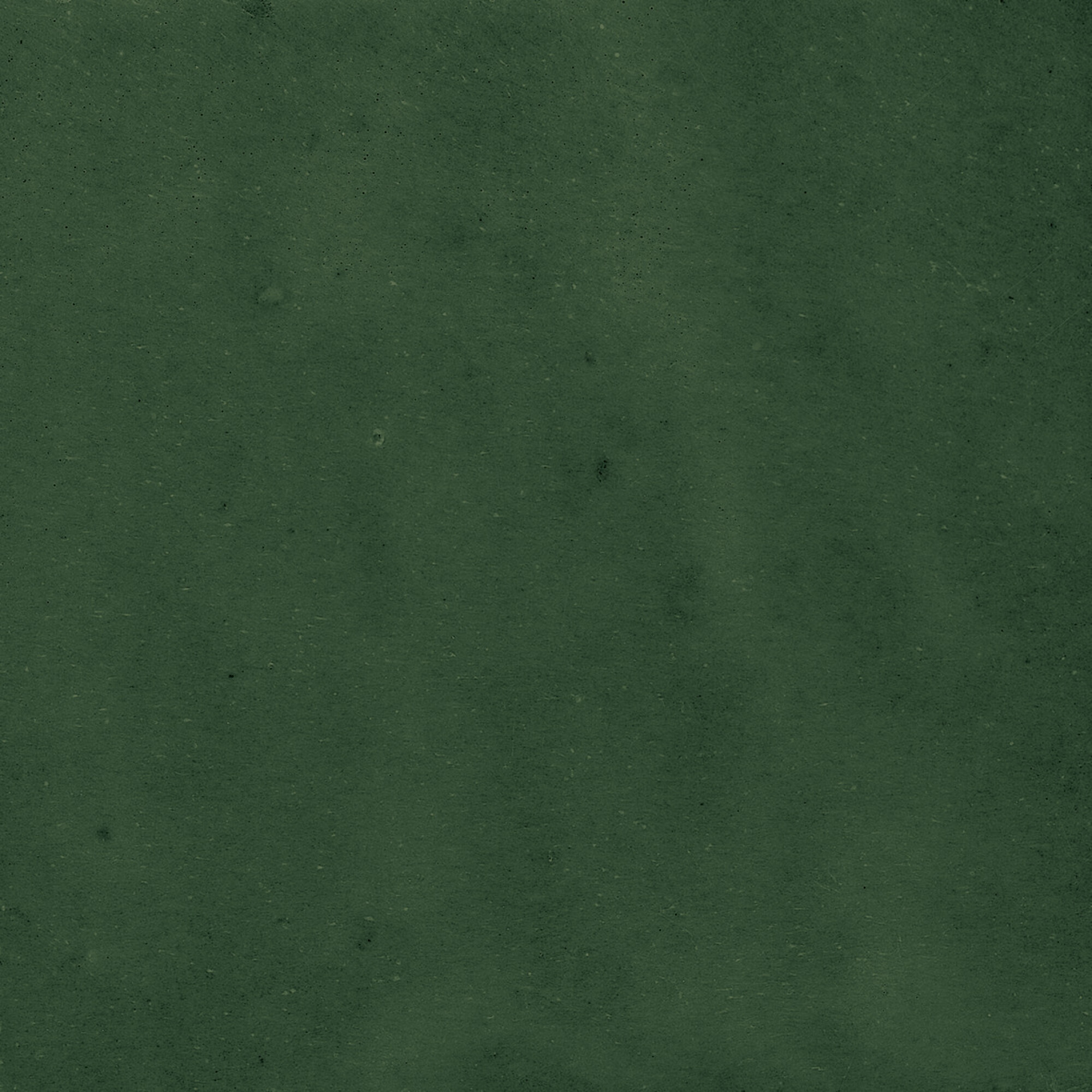 43289 Samira Green 10x10 Harmony фото 42