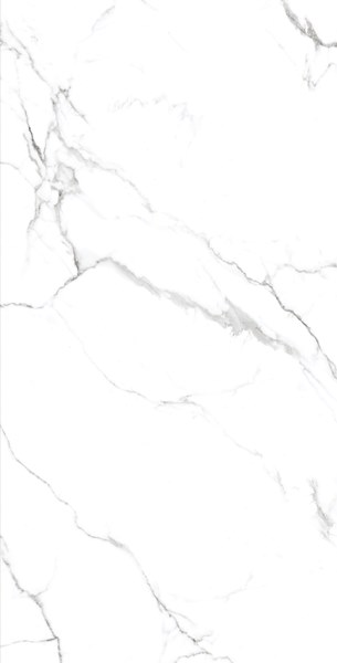 STATUARIO GRIS Glossy 60x120 One Touch