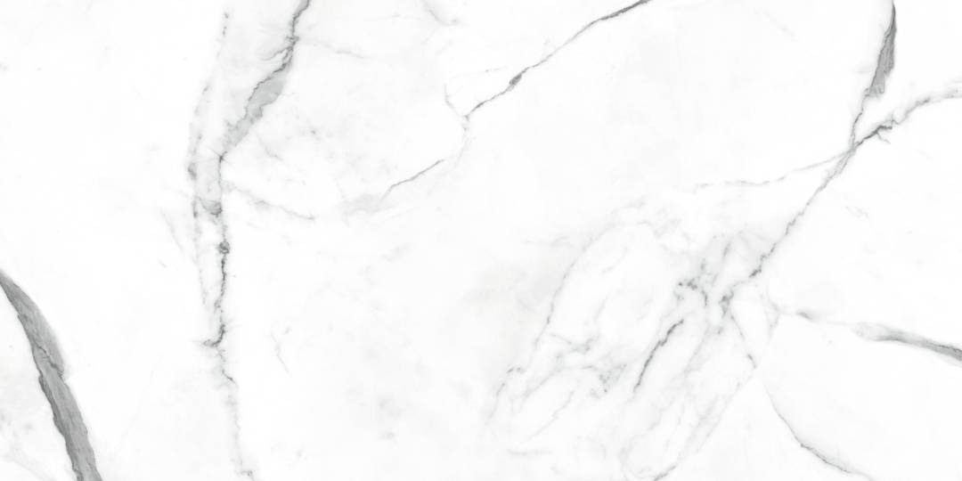 NR235 Dalim White Матовый 60x120 PrimaVera
