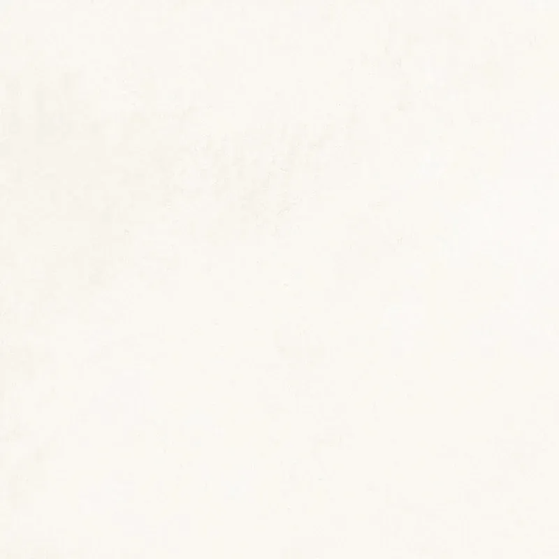 DL0H00MR1 Delishn White RLF 60х60 Creto