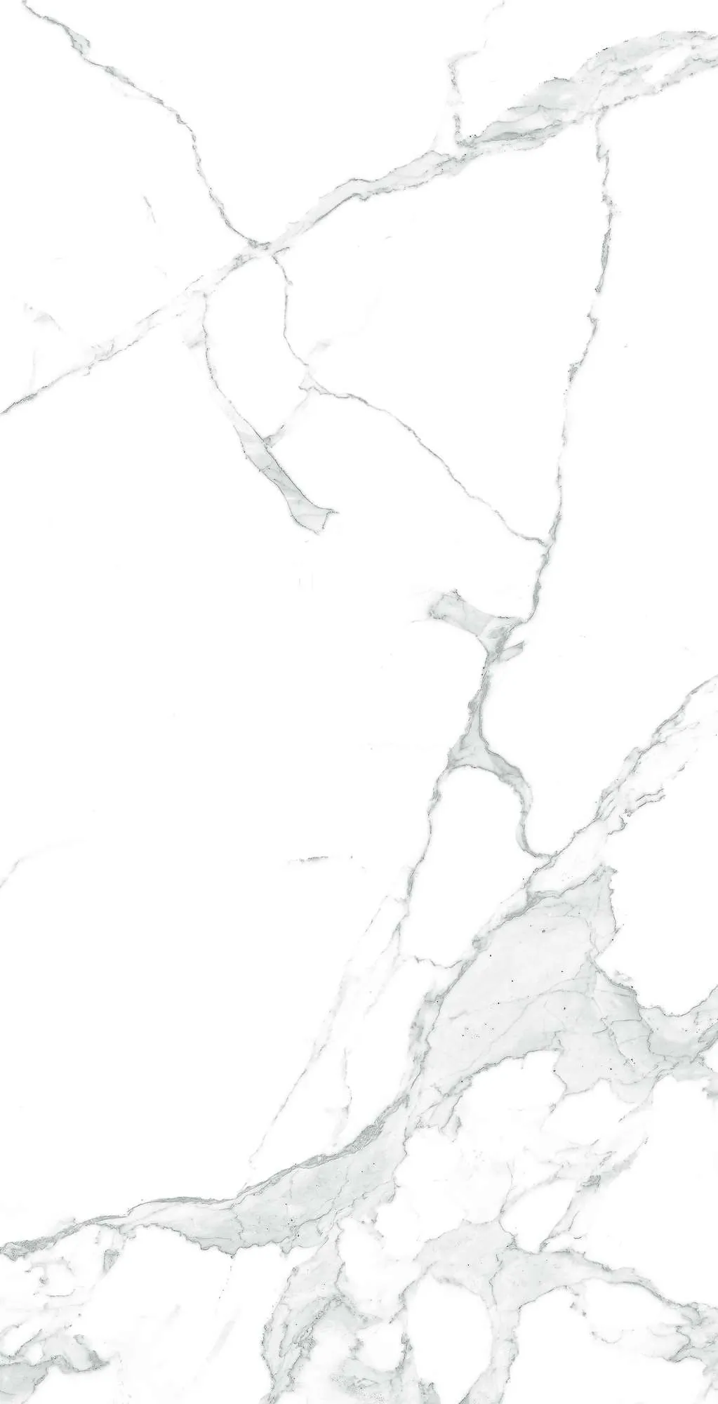 CR4003-A Paradise Statuario Carving 60x120 Arcadia Ceramica