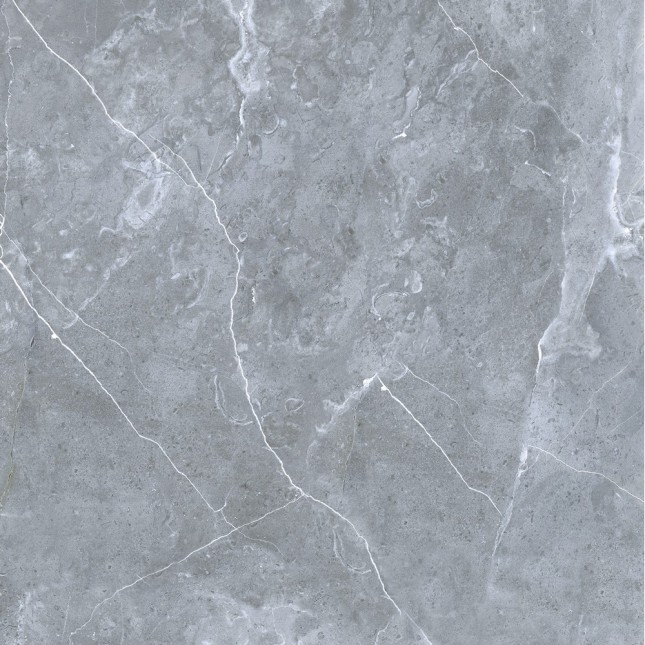 GRS02-16 Petra Northern Silver 60x60 Gresse