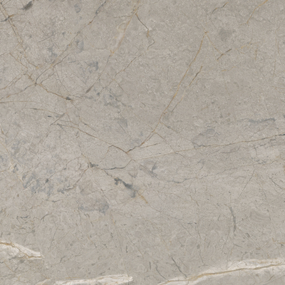 2A52 Silver Grey Lappato RT 120x120 Keope