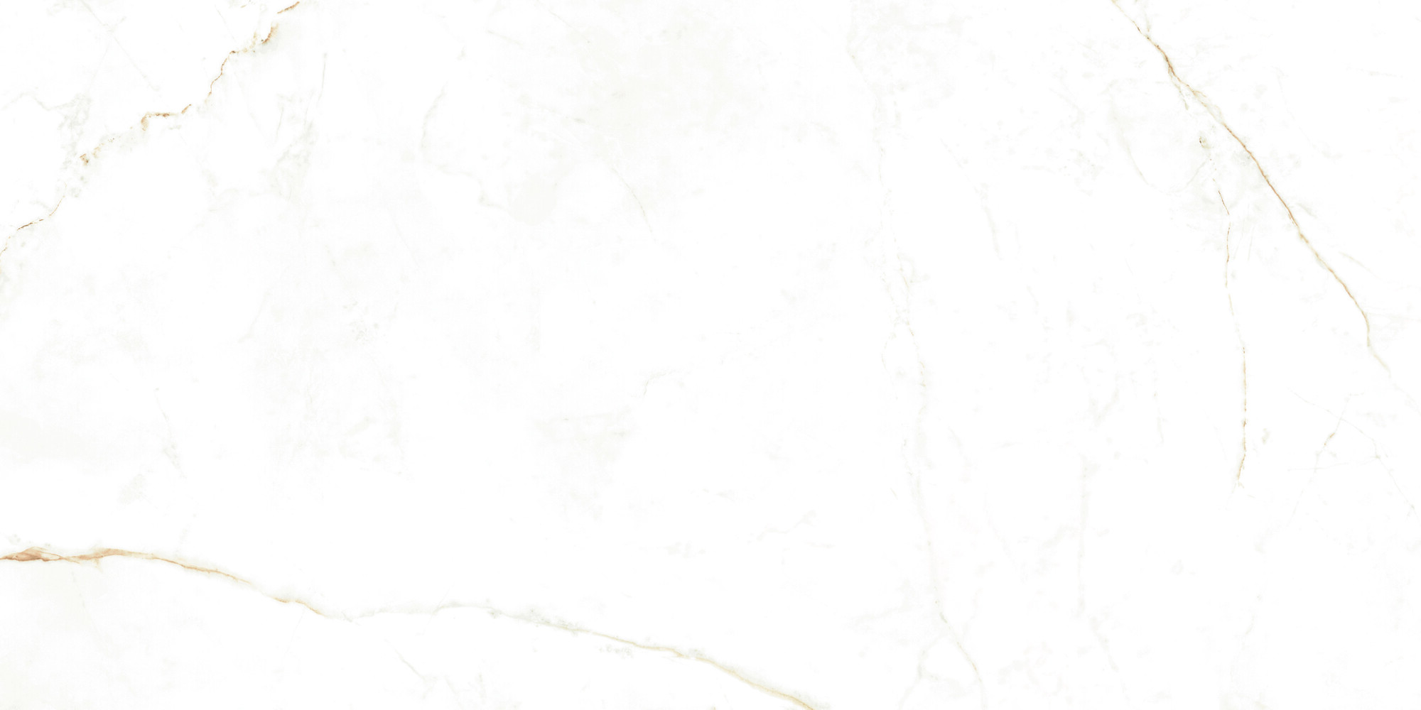 38712 Dual White NT/60X120X0,9/C/R 60x120 Peronda фото 2