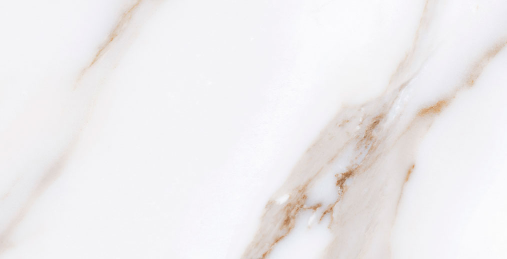 Calacatta Gold 32x62.5 Gayafores