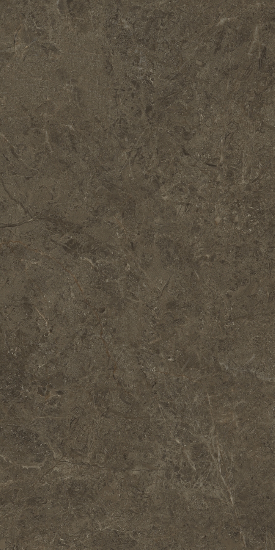 PT12F7039 Neapol Brown Matt 1200х600х9 Protiles
