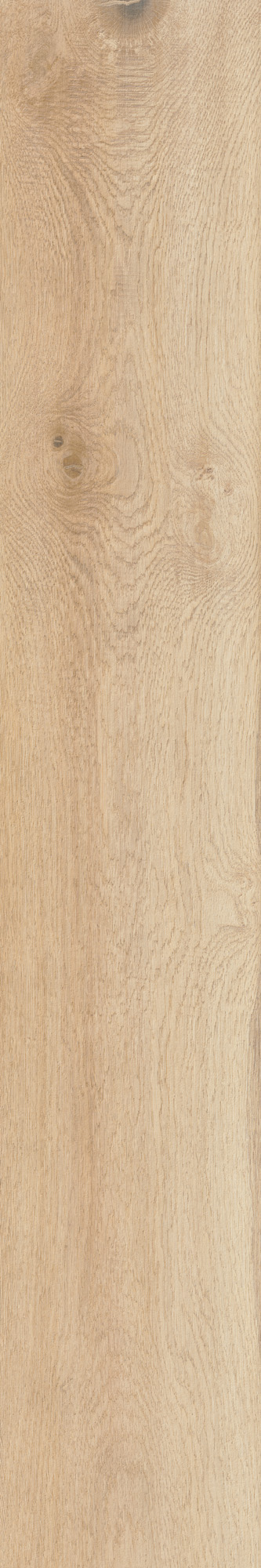 AHG9 Rever Anise Matt RT 20х120 Caesar