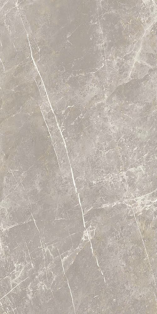 766528 Elemental Grey Dolomia Luc Ret 60x120 Cerim