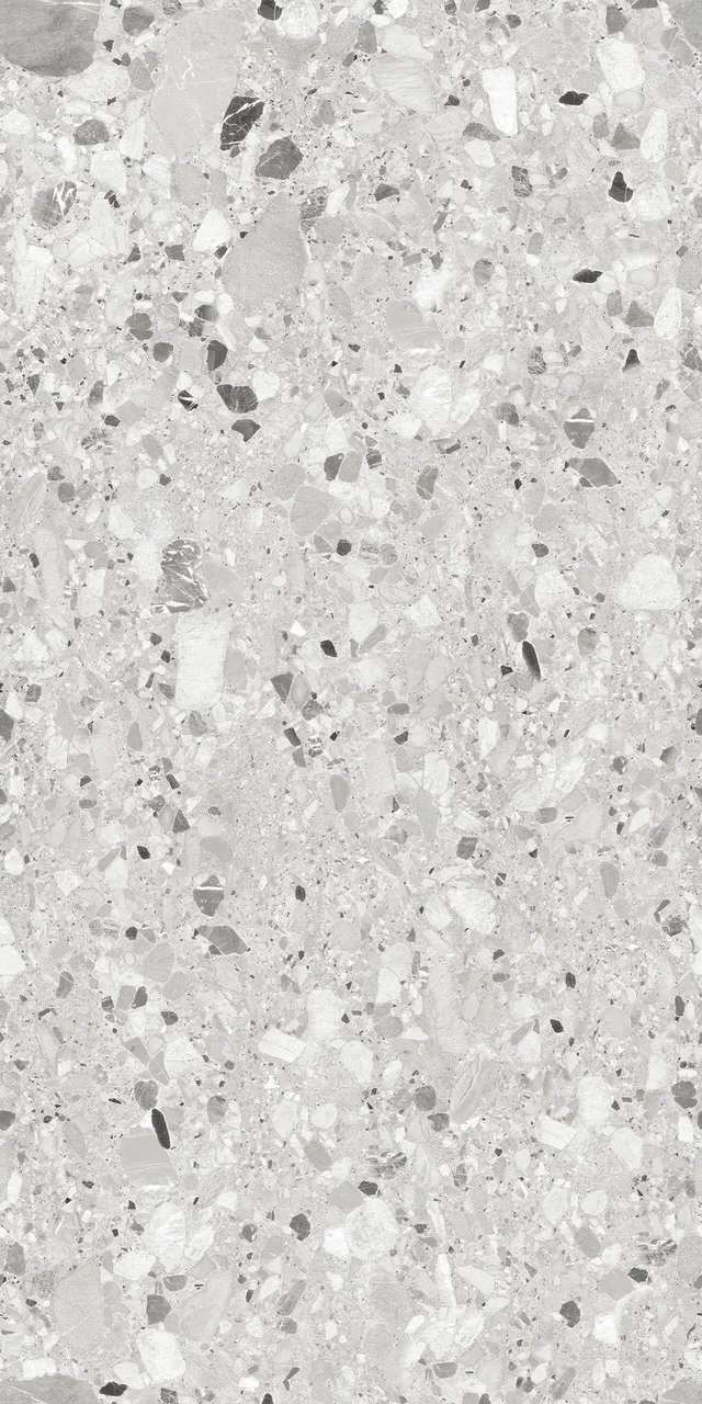 RS 1029 Grey Carving 60x120 BELLEZA фото 3