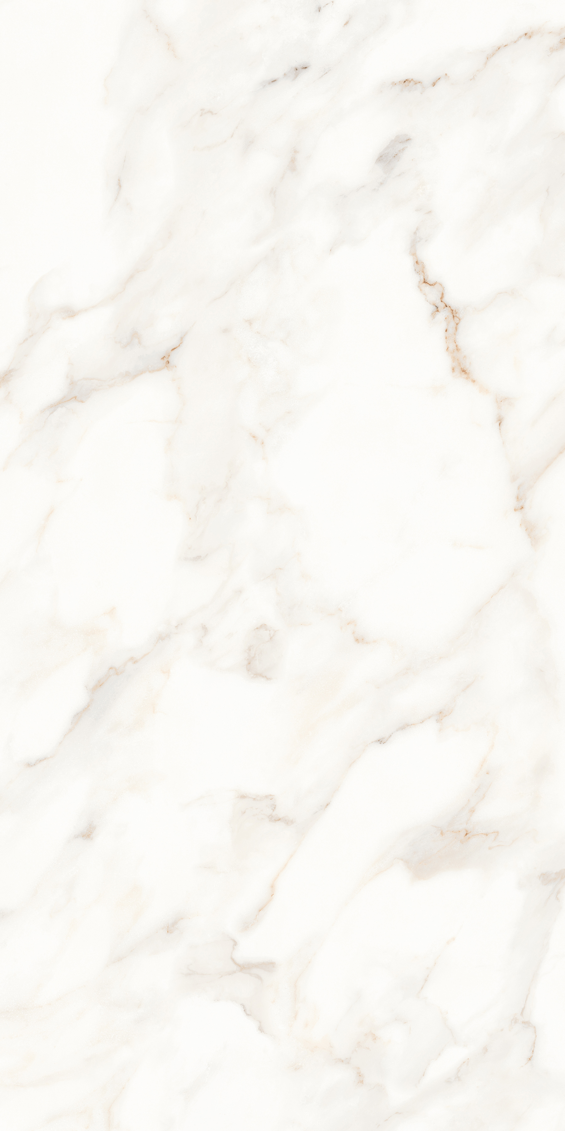 MPL-058623 Calacatta Polished 60x120 Creto