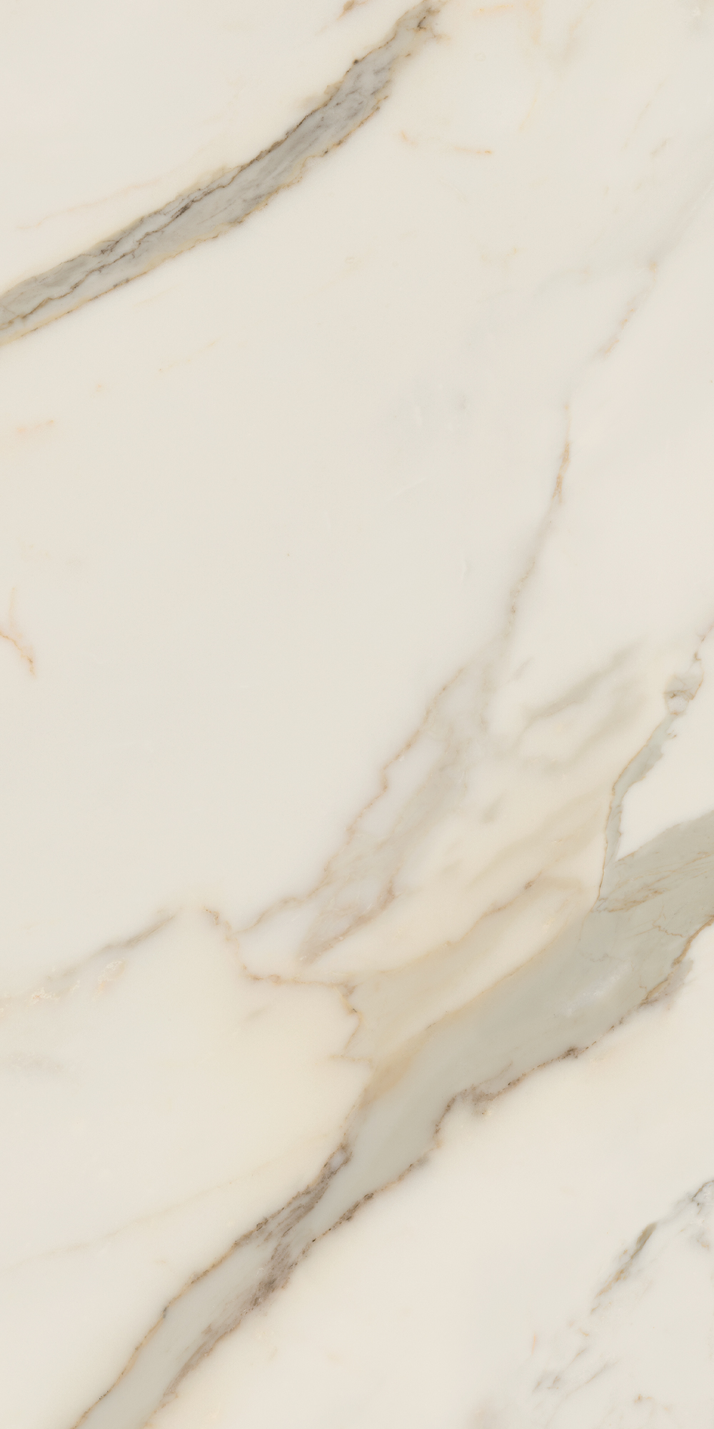 AGB4 Golden White Luc 60x120 Caesar