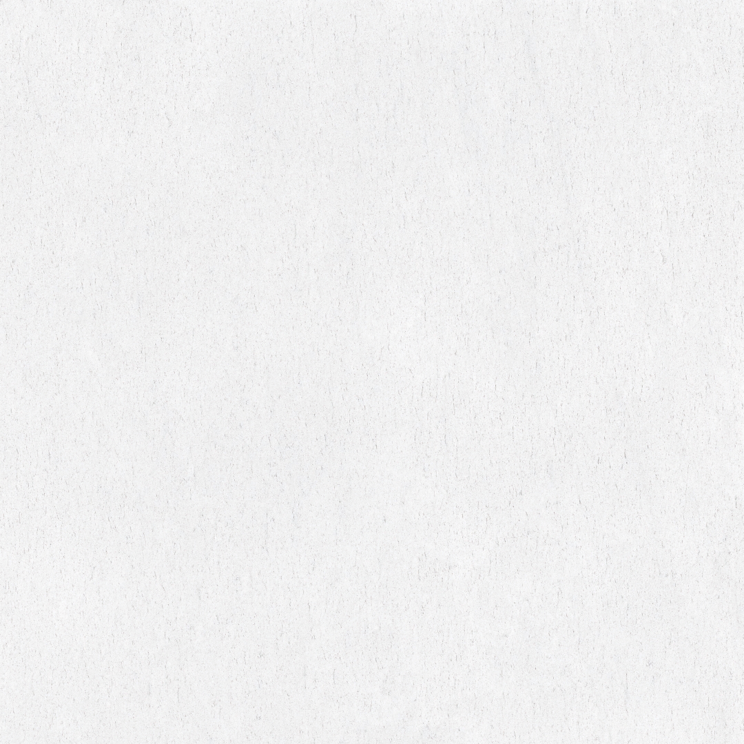 25391 Mystic White BH AJ/100X100/C/R 100x100 Peronda фото 9