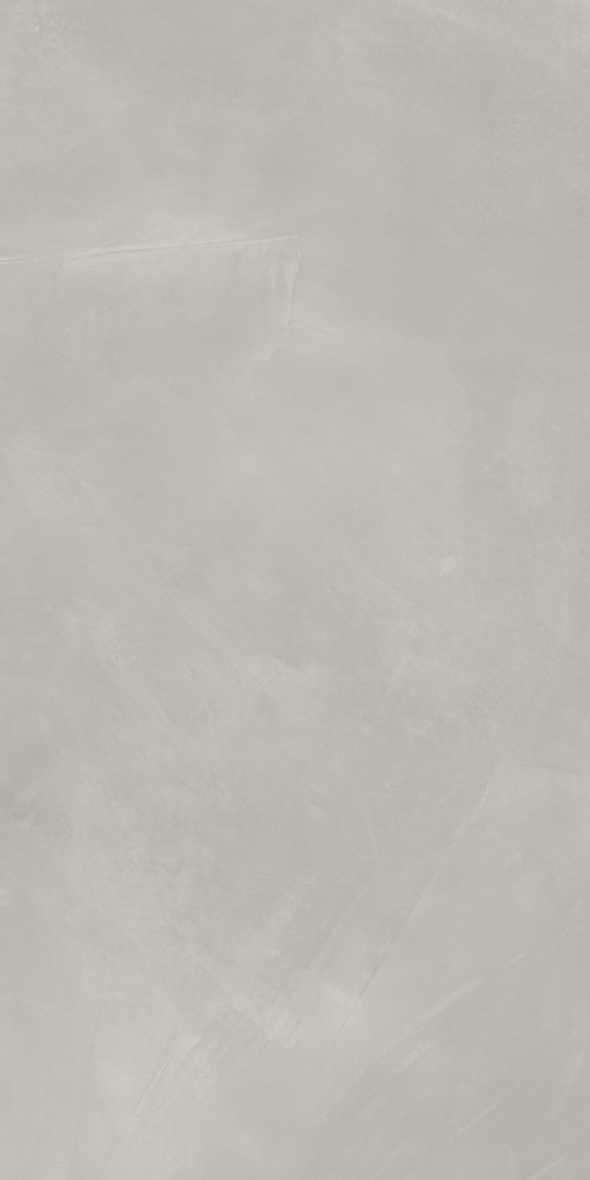 610010002679 Continuum Silver 60x120 Italon