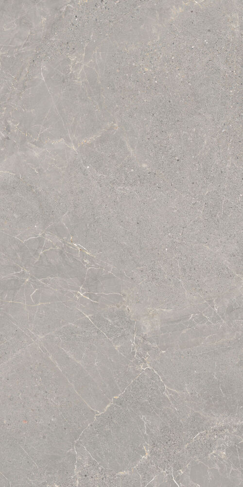 37736 Alchemy Iron As/60x120x0,9/C/R 60x120 Peronda