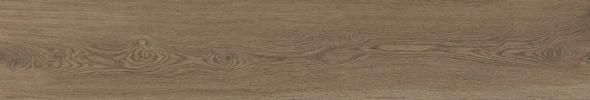 41729 Bloom Cognac SP/24x151x0,9/R 24x151 Peronda