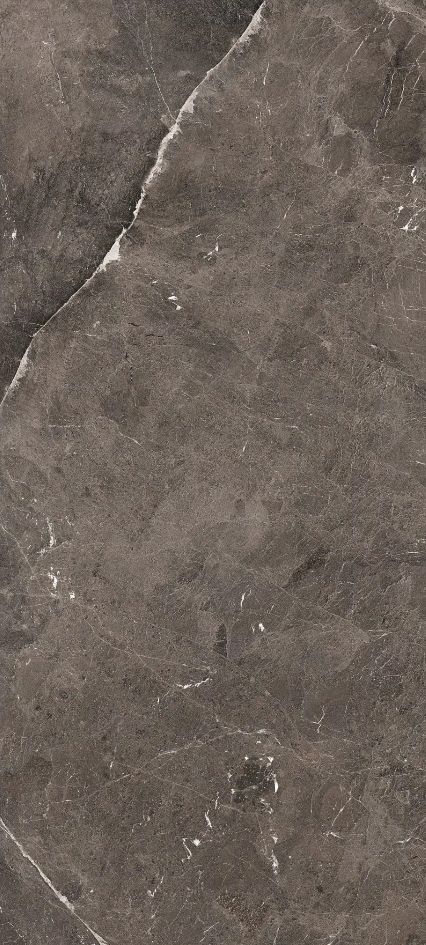 784883 Heritage Brown Matte Silk 6mm 120x280 Rex Ceramiche фото 3
