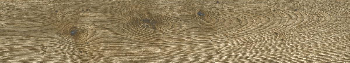 N12060 Wood collection Cognac Matt Shape 20x120 Neodom фото 4