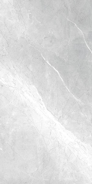 Asti Grey carving 60x120 Realistik