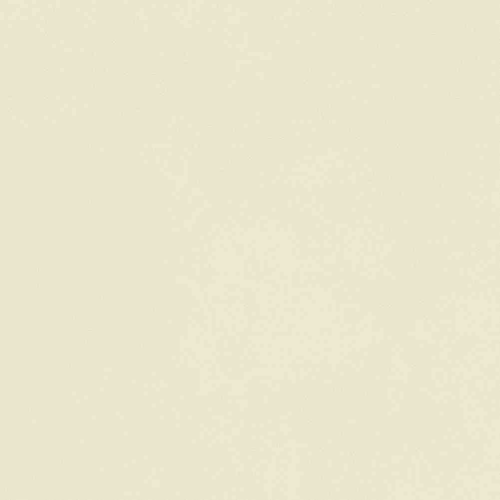 ENCLR6081MT2020 Corsica Beige Matt 200х200х8 Ennface фото 29