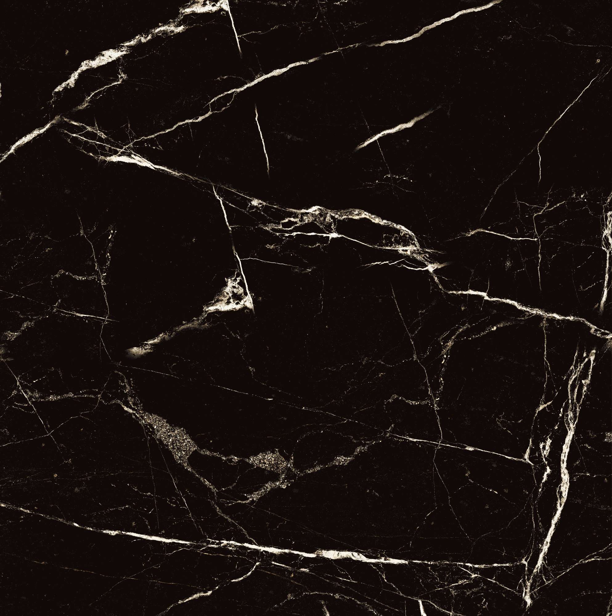 HG2008-A Black Spinder High Gloss 60x60 Arcadia Ceramica