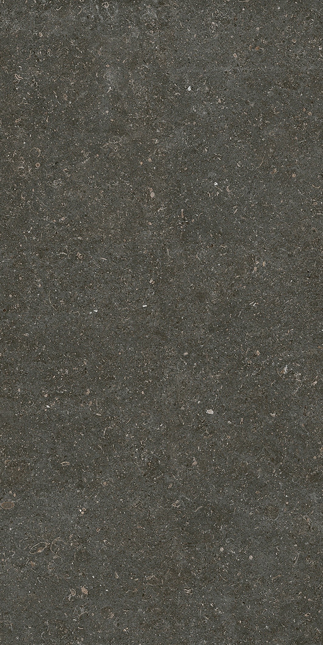 785577 Rinascenza Arena Platino Matte 6mm 60x120 Casa Dolce Casa фото 3