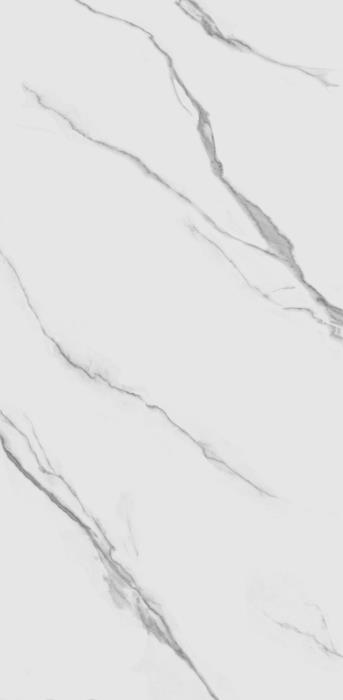 TP612M001 Авиталь матовый 60x120 PrimaVera фото 5