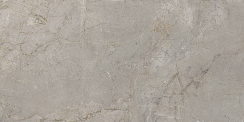 2ASK Silver Grey Silk RT 60x120 Keope