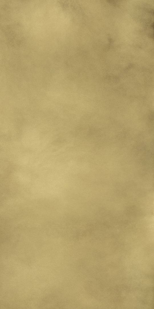 610015000645 Continuum Brass Gold Lap 80x160 Italon