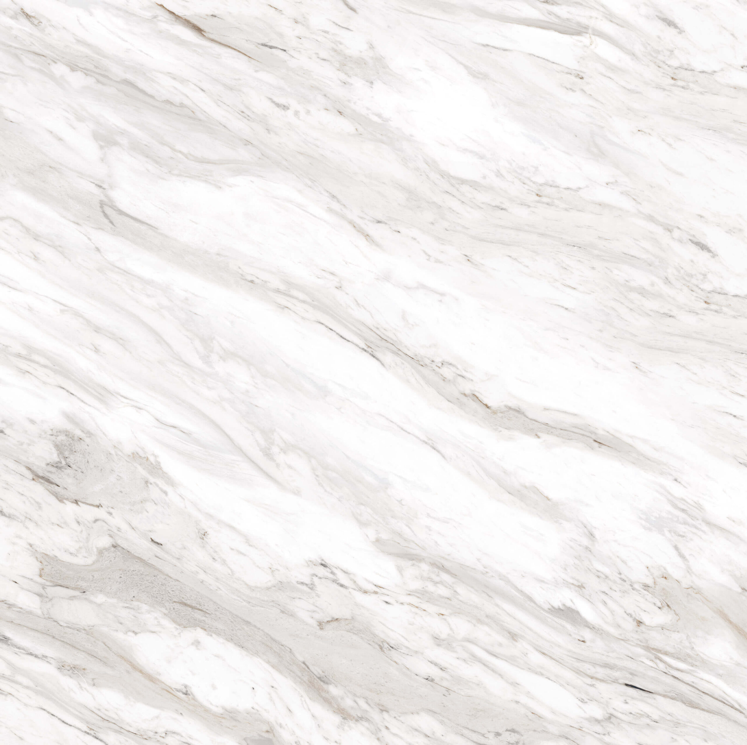 166736 Rafaelo Polished 60x60 Pardis Ceramic Pazh