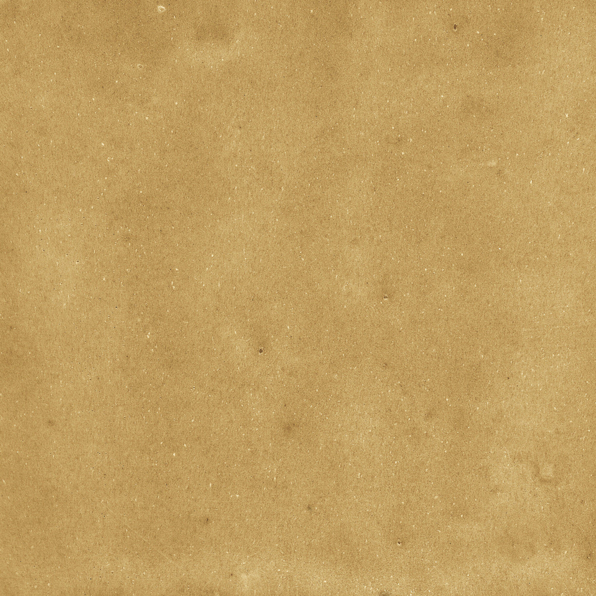 43288 Samira Gold 10x10 Harmony фото 47