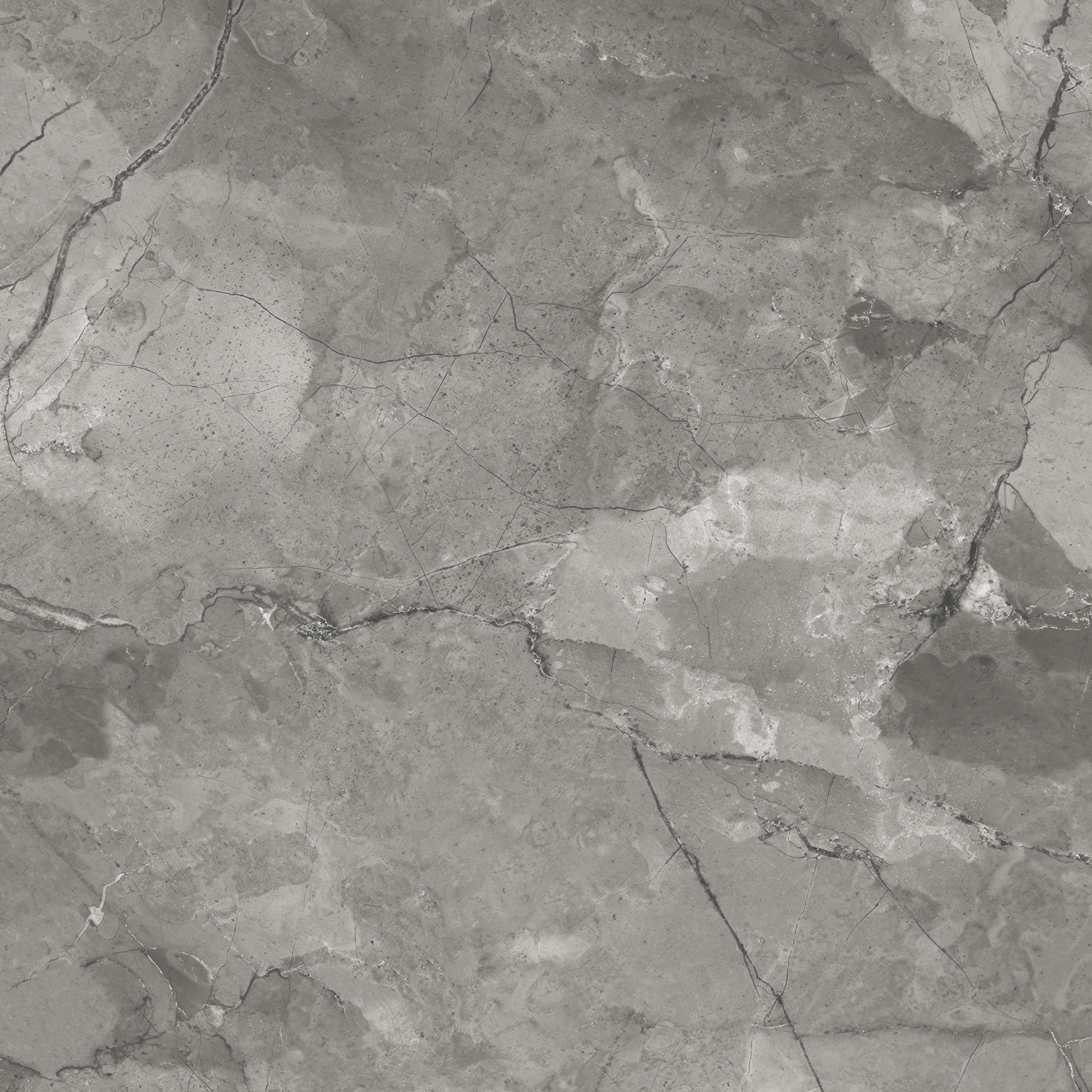 CR6020-A Bismanto Grey Carving 60x60 Arcadia Ceramica фото 11