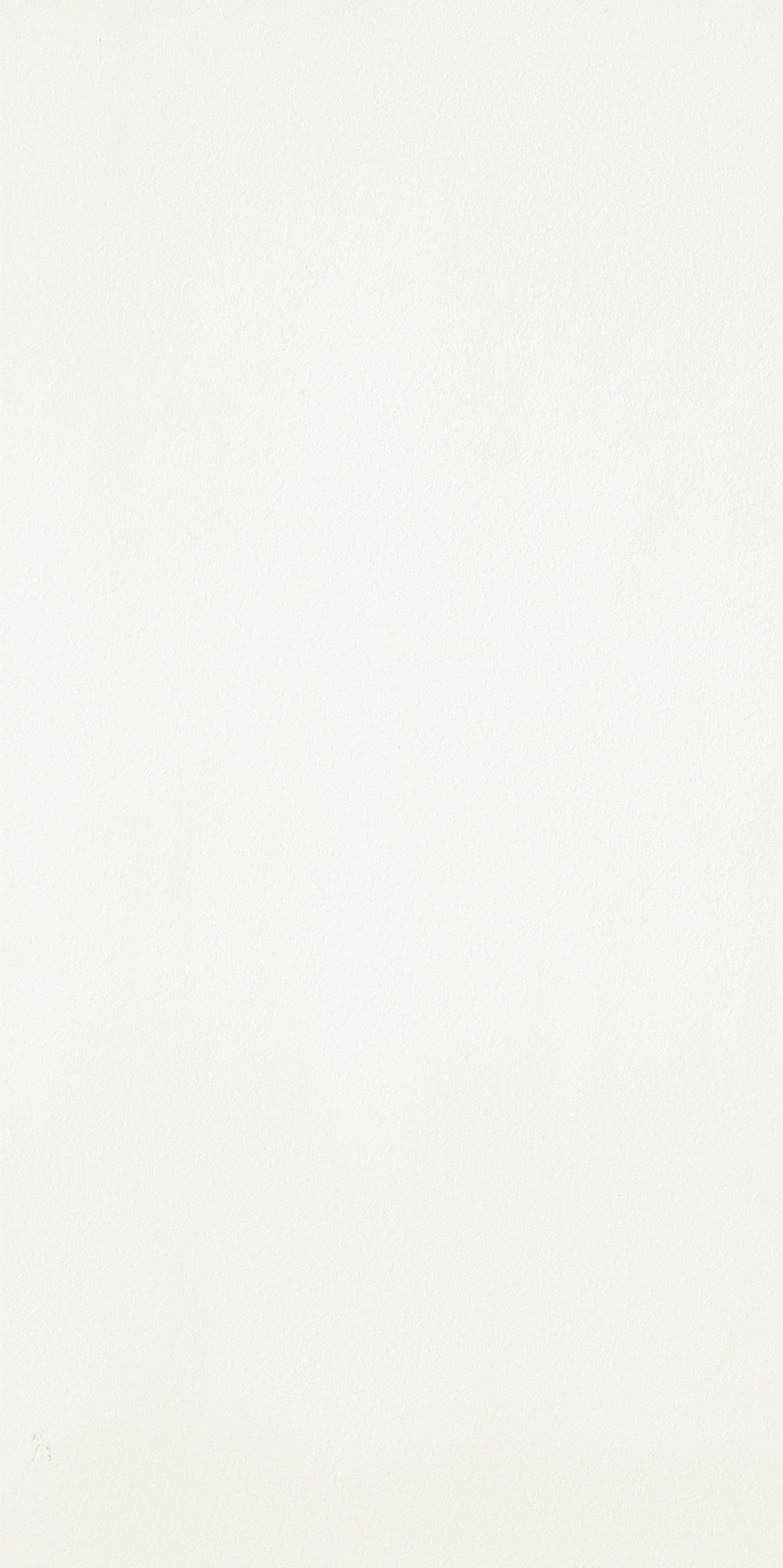 P175240MF6 Titanium White Natural 6mm 75x150 IRIS FMG